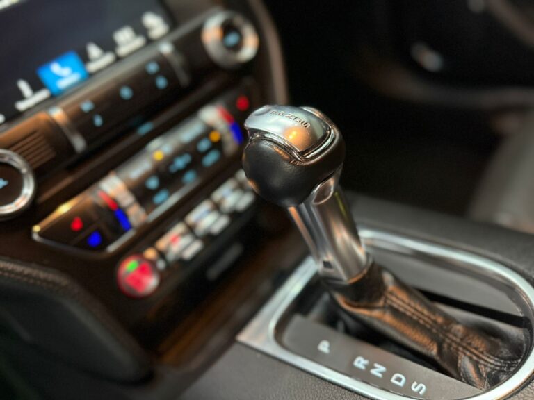 WhatsApp Image 2025-07-01 at 09.51.59