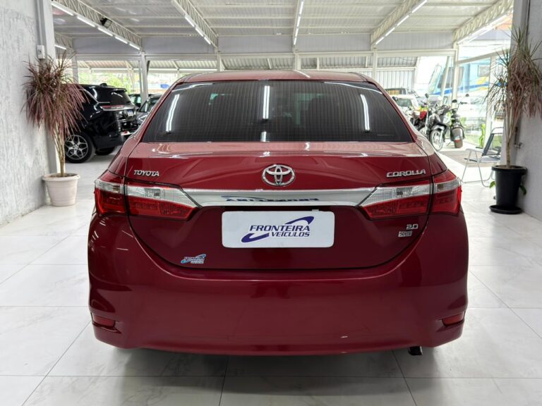 WhatsApp Image 2025-12-09 at 17.57.40