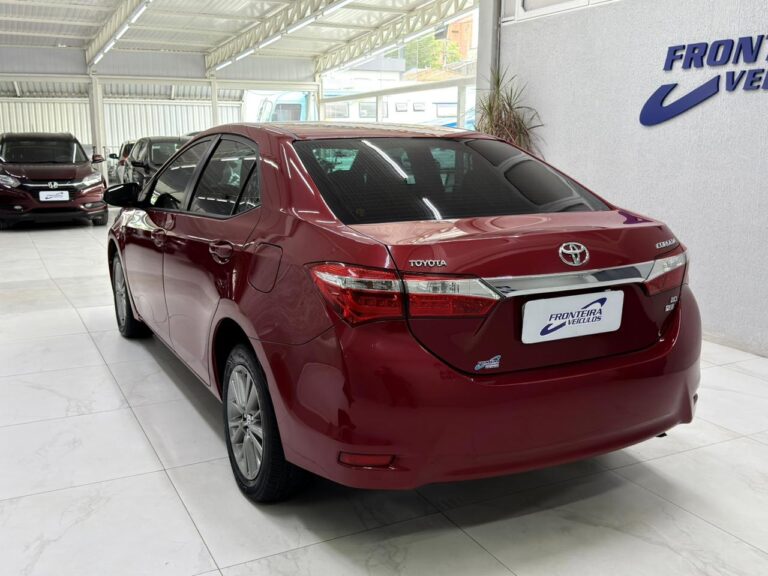 WhatsApp Image 2026-01-26 at 16.57.47